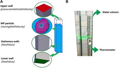 Systematic Evaluation of Physical Parameters Affecting the Terminal Settling Velocity of Microplastic Particles in Lakes Using CFD